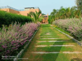 club azzurro resort nalsarovar