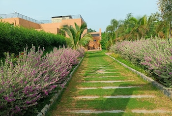 club azzurro resort nalsarovar