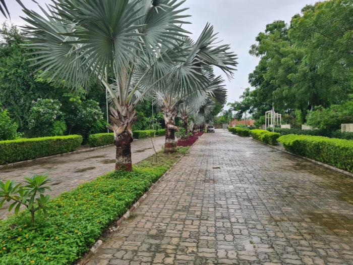 club azzurro resort nalsarovar