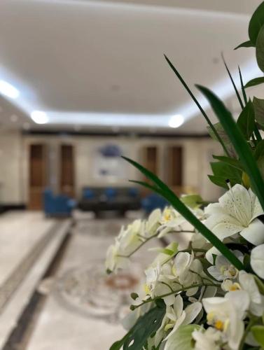 diamond vision hotel
