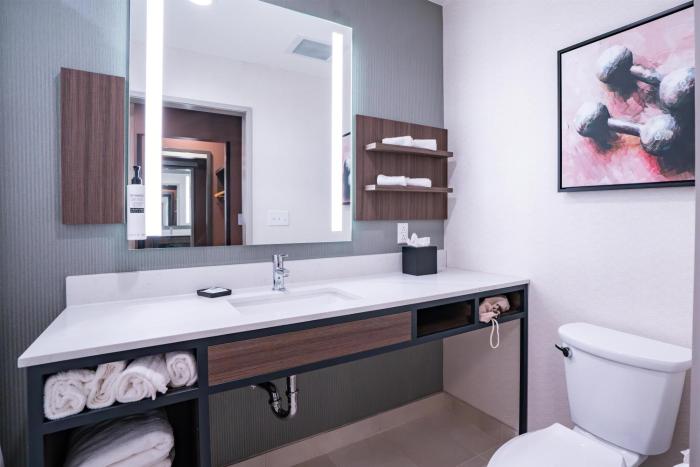 hilton garden inn hoover birmingham