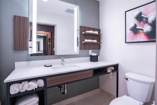 hilton garden inn hoover birmingham