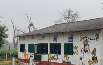 ama stays and trails diffloo assam