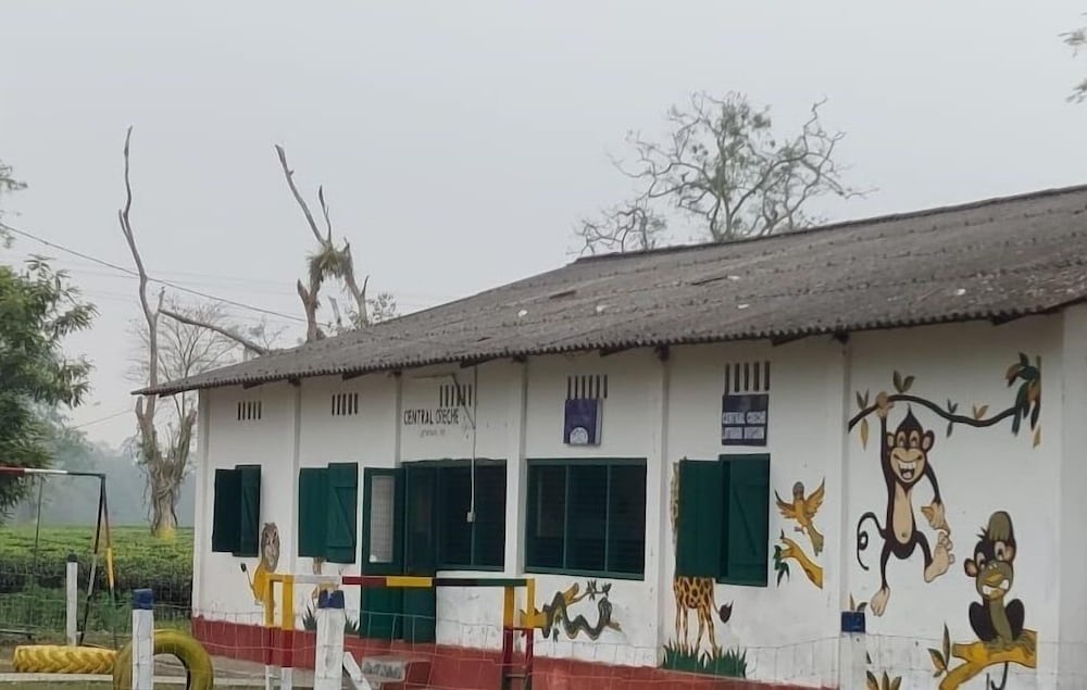 ama stays and trails diffloo assam