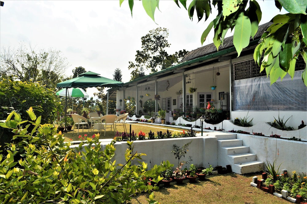 ama stays and trails diffloo assam