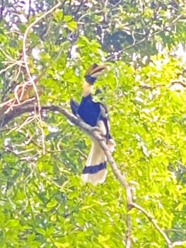 private paradise resort