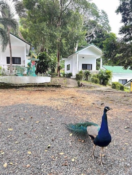 private paradise resort