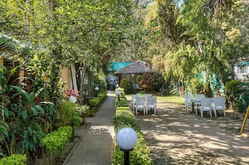 the wild orchid resort