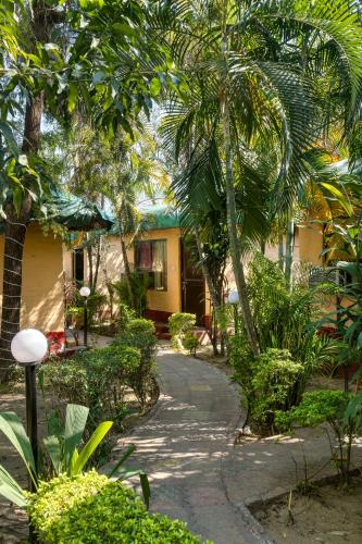 the wild orchid resort