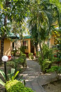 the wild orchid resort