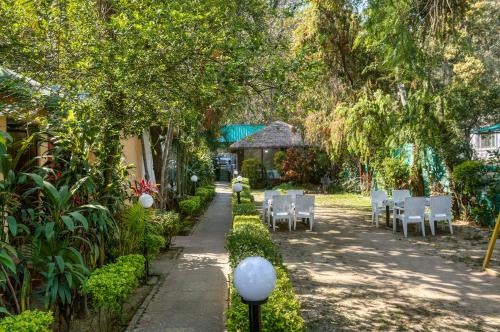 the wild orchid resort