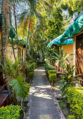 the wild orchid resort