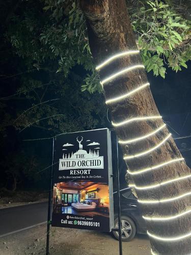 the wild orchid resort