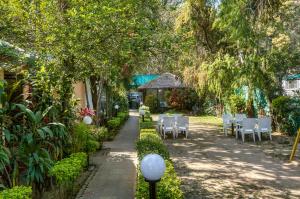 the wild orchid resort