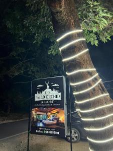 the wild orchid resort