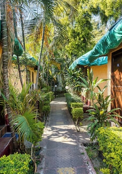 the wild orchid resort