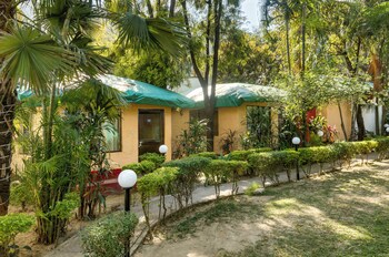 the wild orchid resort