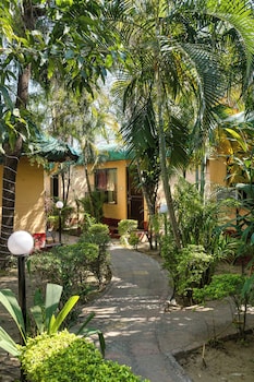 the wild orchid resort