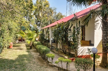 the wild orchid resort