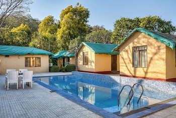 the wild orchid resort