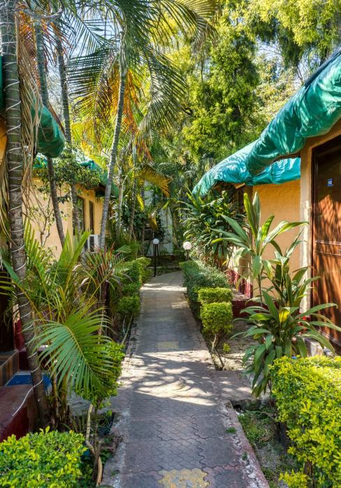 the wild orchid resort