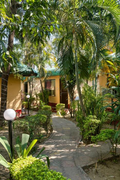 the wild orchid resort