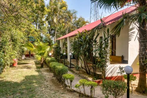 the wild orchid resort