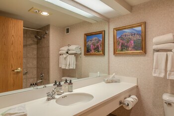 crested butte mountain resort