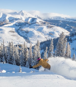 crested butte mountain resort
