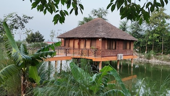 jungle heritage resort