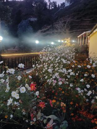 the gypsy soul resort kanatal