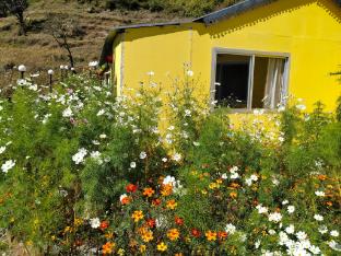 the gypsy soul resort kanatal