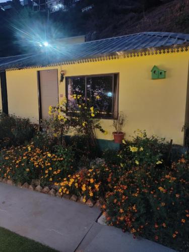 the gypsy soul resort kanatal