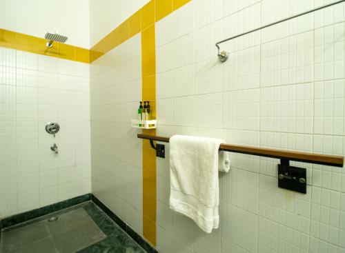 opulent antique 6br villa in gurugram