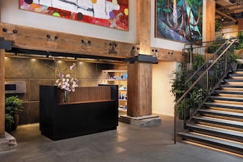 populus seattle