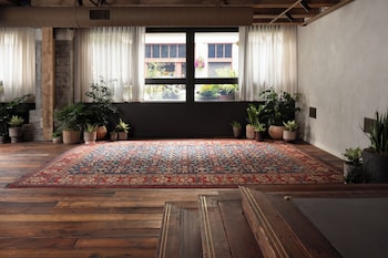 populus seattle
