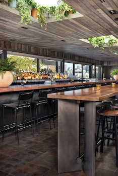 populus seattle