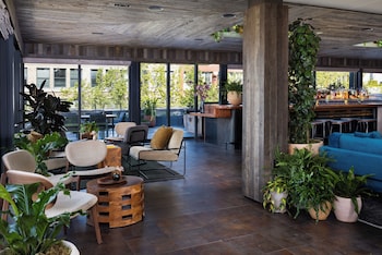 populus seattle