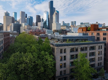 populus seattle