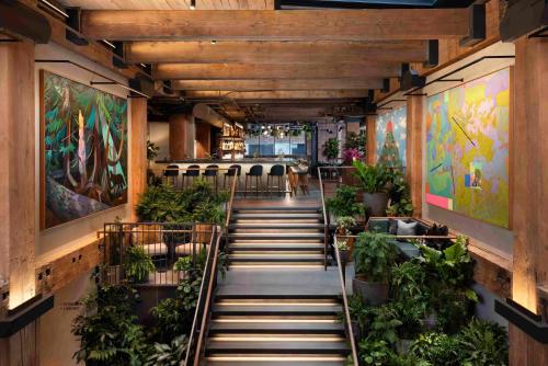 populus seattle