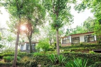 ama stays and trails writers hill nahan sirmaur himachal