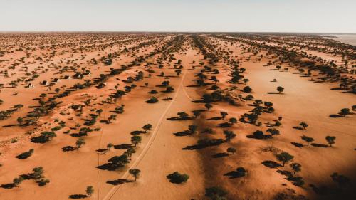 bagatelle kalahari game ranch