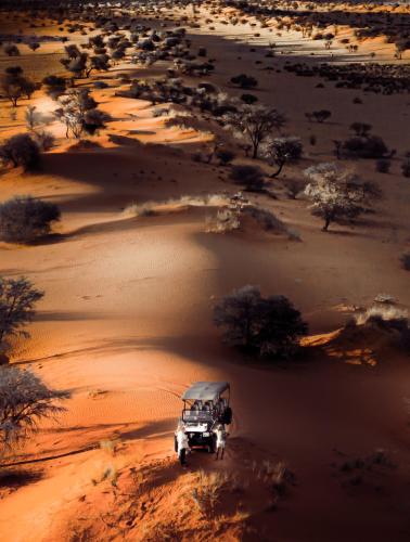 bagatelle kalahari game ranch