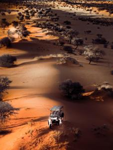 bagatelle kalahari game ranch