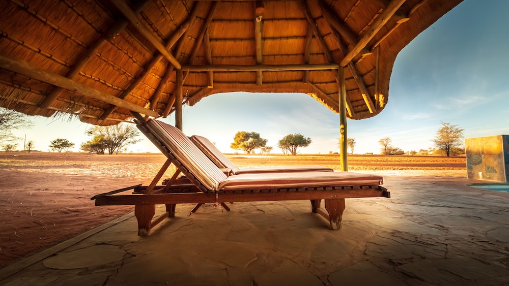 bagatelle kalahari game ranch