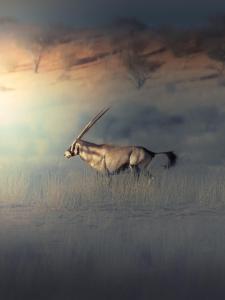 bagatelle kalahari game ranch