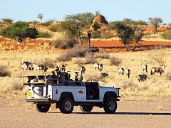 kalahari anib lodge