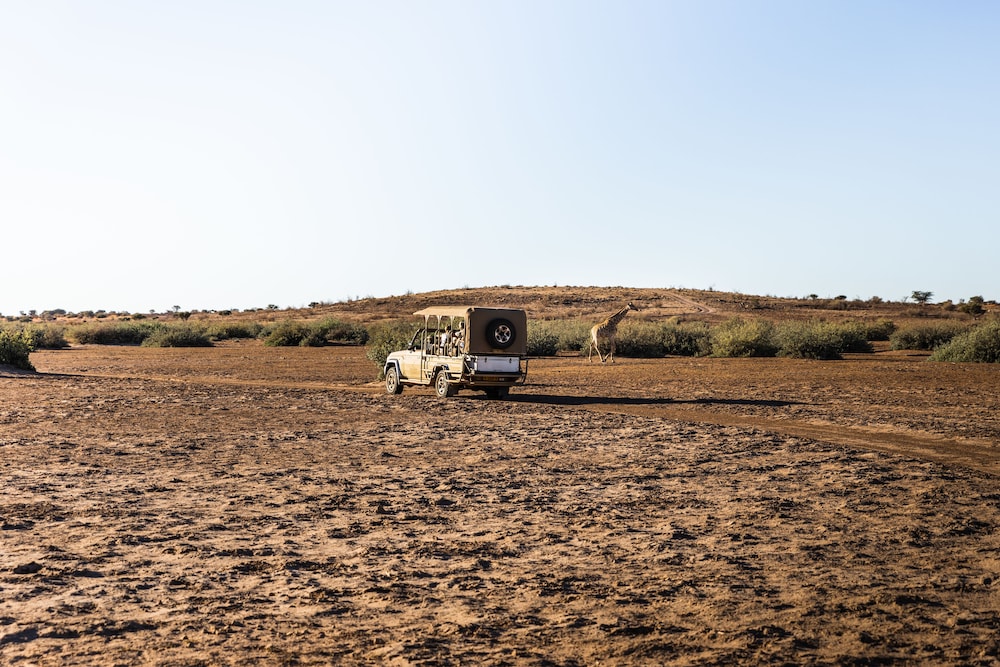 kalahari anib lodge