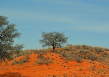 Kalahari Anib Lodge,Near Kalahari Red Dunes,2 star