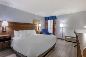 best western plus st louis west westport
